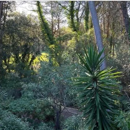 Valescure Raphael * Saint-Raphael (Var)